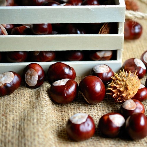 Castagne 1 Kg